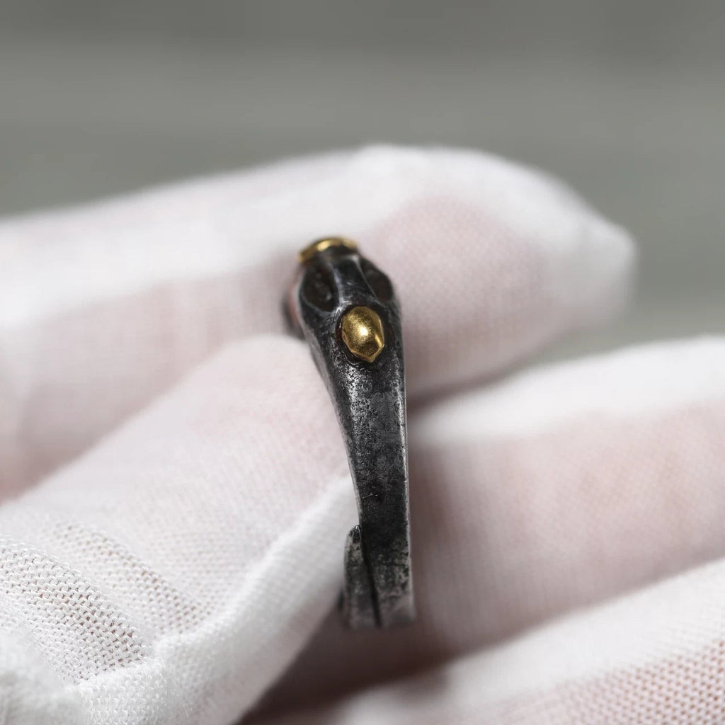 Tibet Thokcha Iron Ring